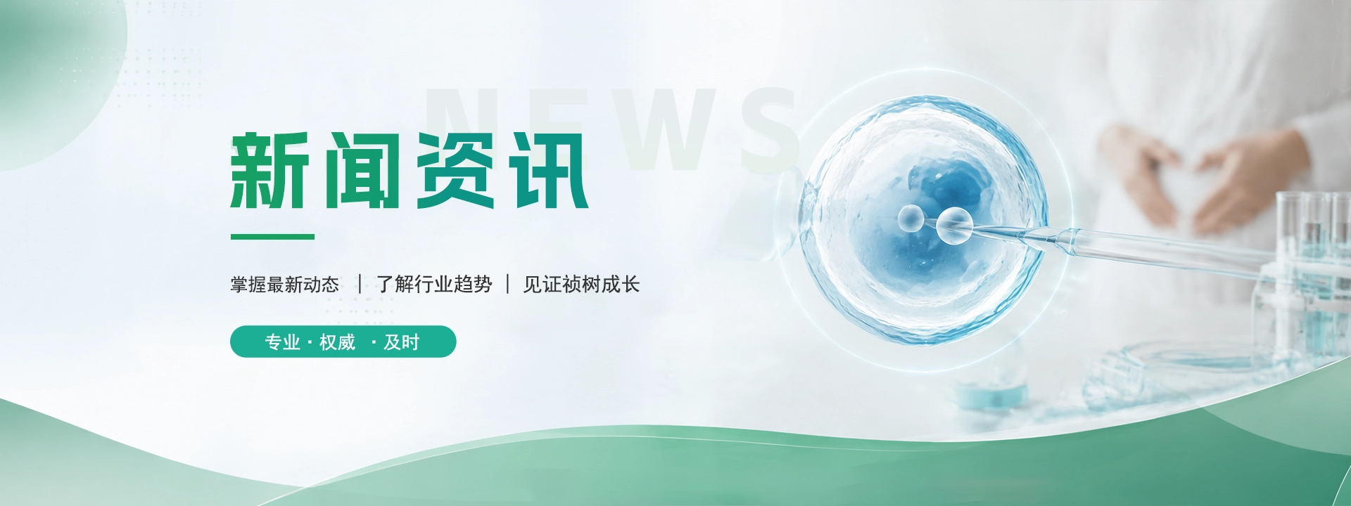 新闻资讯